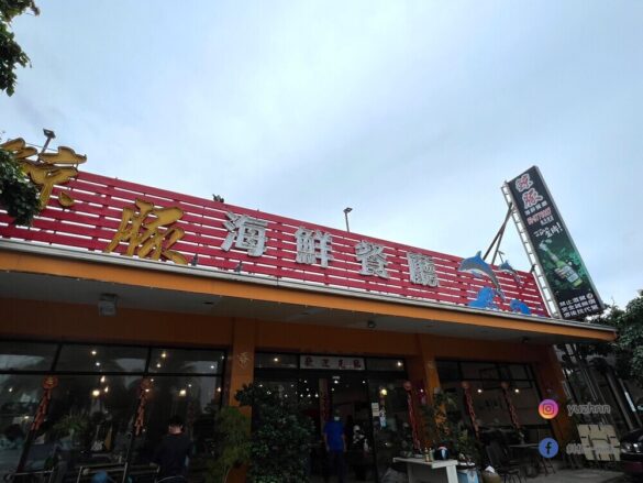 鯨豚5